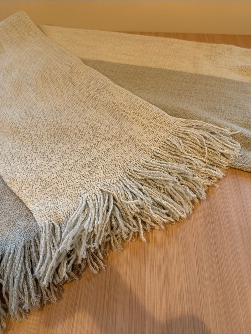 Mark & Graham Beige Fringe Throw Blanket
